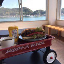 マタウマリンサービス 釣果