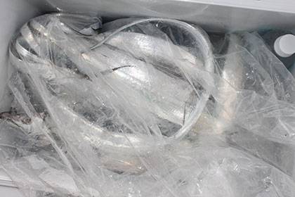 松本釣船2 釣果