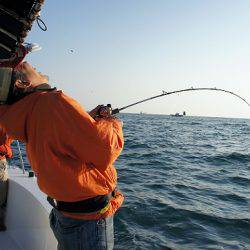 フルコンタクト 釣果