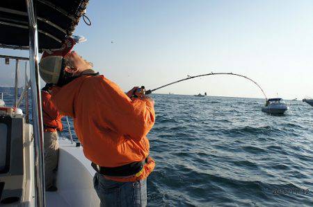 フルコンタクト 釣果