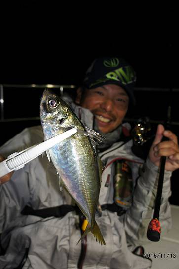 フルコンタクト 釣果