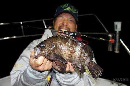 フルコンタクト 釣果