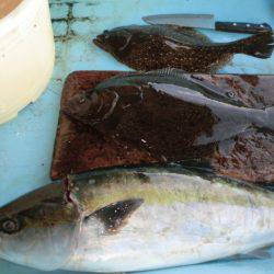 松名瀬フィッシングパーク 釣果