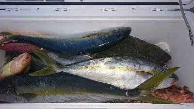 海龍丸(福岡) 釣果