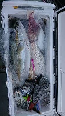 海龍丸(福岡) 釣果