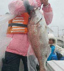 海龍丸(福岡) 釣果