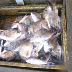 海釣り公園みかた 釣果