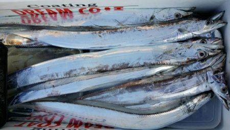 オーフリー 釣果