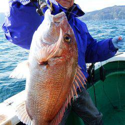 第三むつりょう丸 釣果