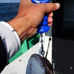 第三むつりょう丸 釣果