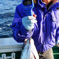 第三むつりょう丸 釣果