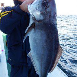 第三むつりょう丸 釣果