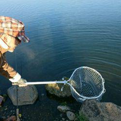 みどりフィッシングエリア 釣果