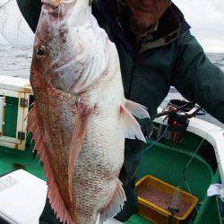 第三むつりょう丸 釣果