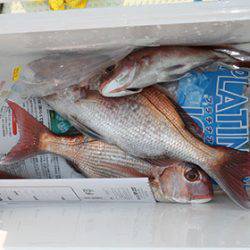 松本釣船２ 釣果