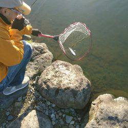 みどりフィッシングエリア 釣果