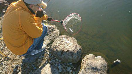 みどりフィッシングエリア 釣果