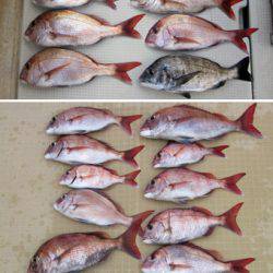 来温丸(らいおんまる) 釣果