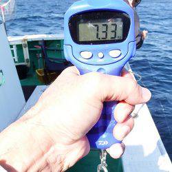 第三むつりょう丸 釣果