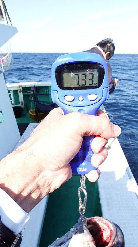 第三むつりょう丸 釣果