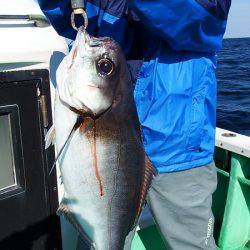 第三むつりょう丸 釣果