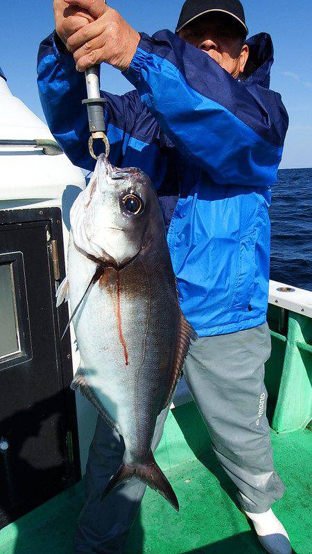 第三むつりょう丸 釣果