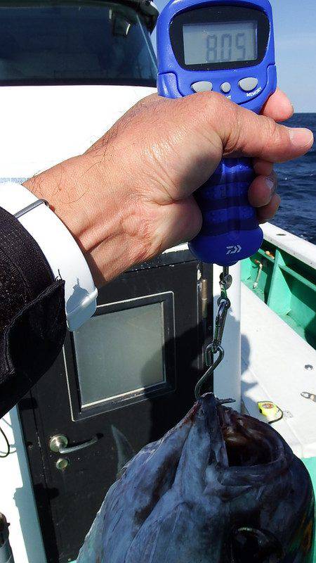 第三むつりょう丸 釣果