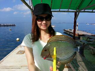 本部釣りイカダ 釣果