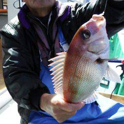 第三むつりょう丸 釣果