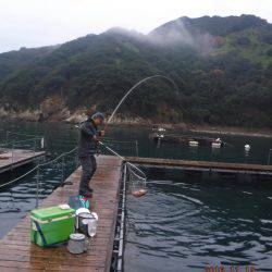 フィッシングパーク錦 釣果