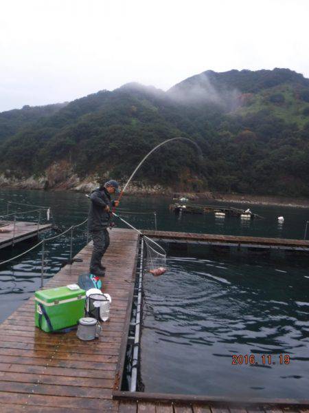 フィッシングパーク錦 釣果