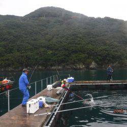 フィッシングパーク錦 釣果