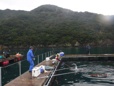 フィッシングパーク錦 釣果