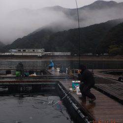 フィッシングパーク錦 釣果