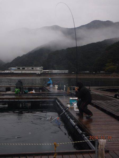 フィッシングパーク錦 釣果