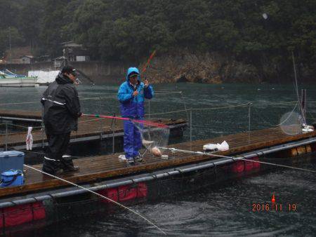 フィッシングパーク錦 釣果