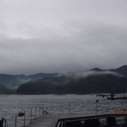 フィッシングパーク錦 釣果