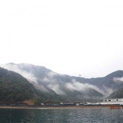 フィッシングパーク錦 釣果