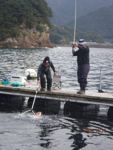 フィッシングパーク錦 釣果