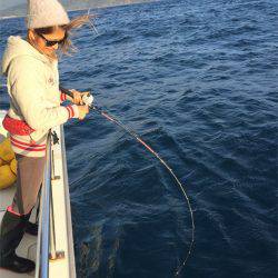 マタウマリンサービス 釣果