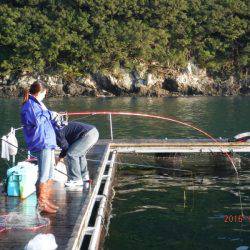 フィッシングパーク錦 釣果