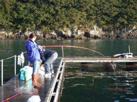 フィッシングパーク錦 釣果