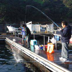 フィッシングパーク錦 釣果