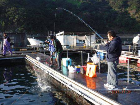フィッシングパーク錦 釣果