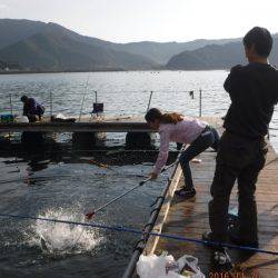 フィッシングパーク錦 釣果