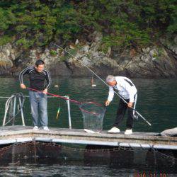 フィッシングパーク錦 釣果