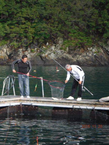 フィッシングパーク錦 釣果