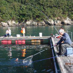 フィッシングパーク錦 釣果