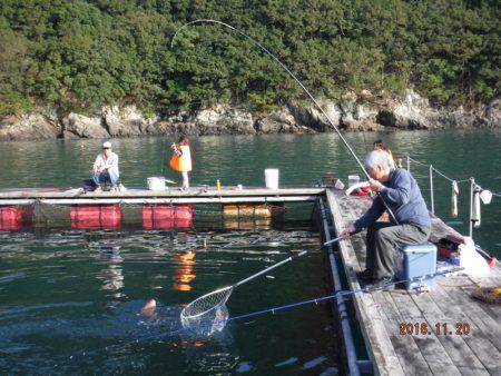 フィッシングパーク錦 釣果