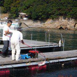 フィッシングパーク錦 釣果
